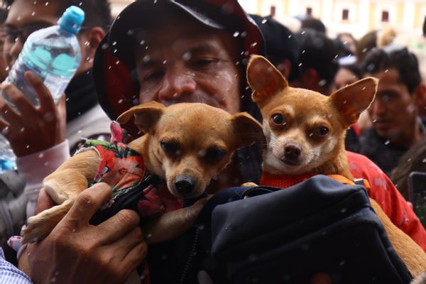 A Latino holds two small brown dogs. A crowd of people surround him.